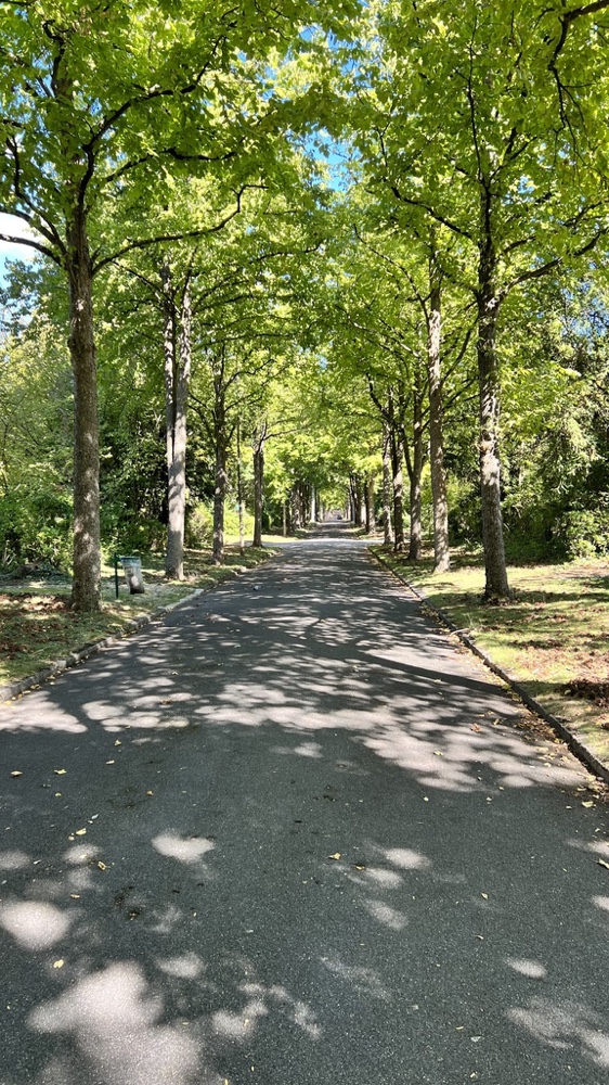 Le cimetière parisien à Bagneux