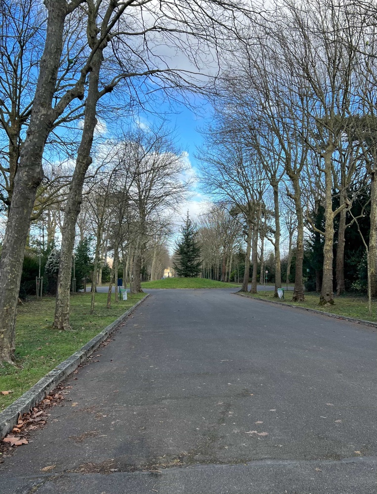 Allée du cimetière de Bagneux