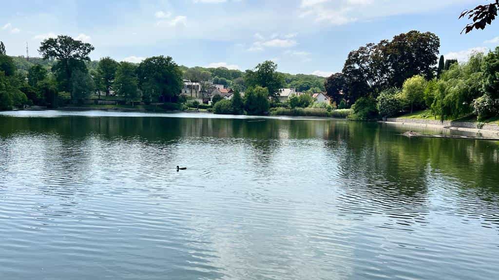 Vue de l'étang au mois de mai