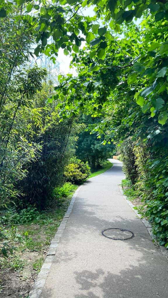 Chemin autour de l'étang Colbert
