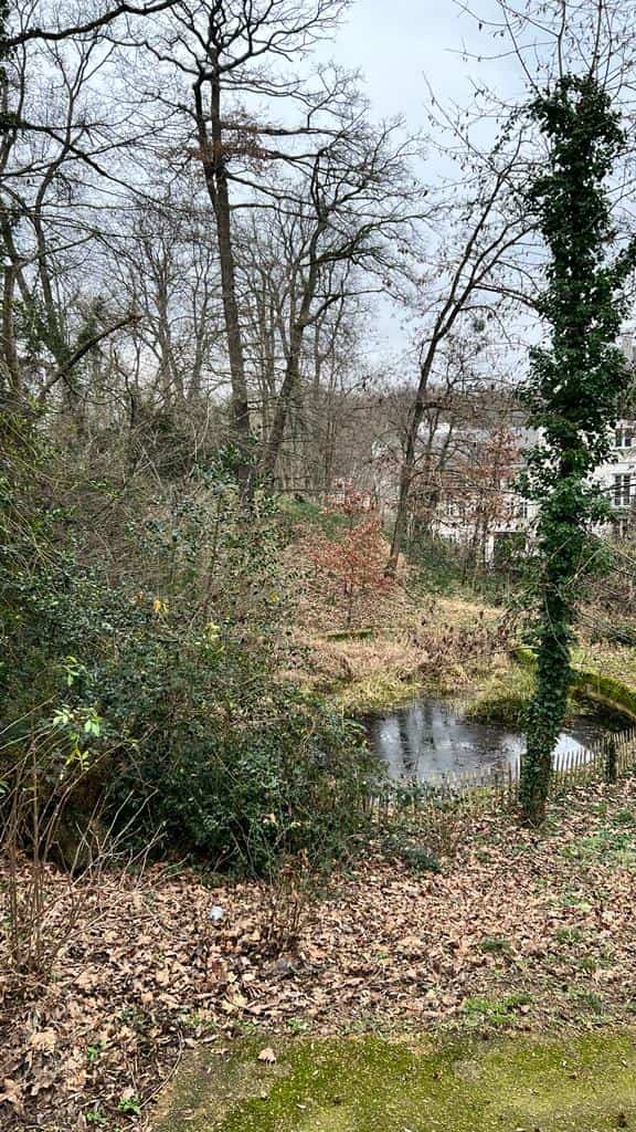 Le lac du bois de la Solitude