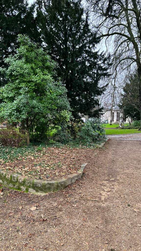 Une autre allée du parc