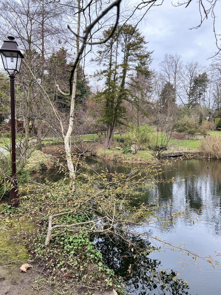 Lac de la propriété