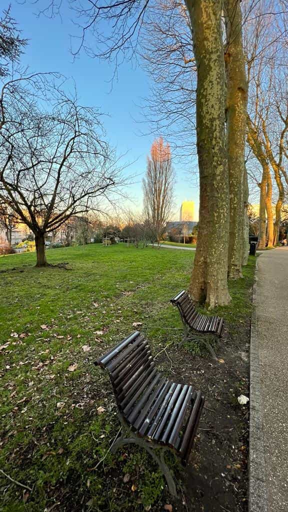 Bancs situés dans le parc