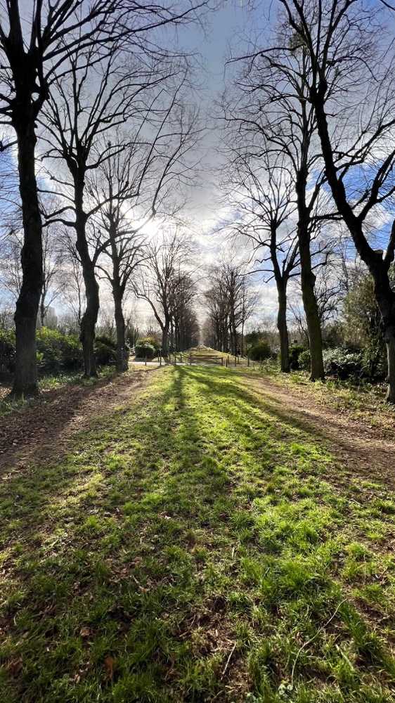 L'une des allées du cimetière de Bagneux