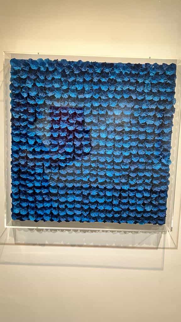 Cobalt, par Ferri Garcès