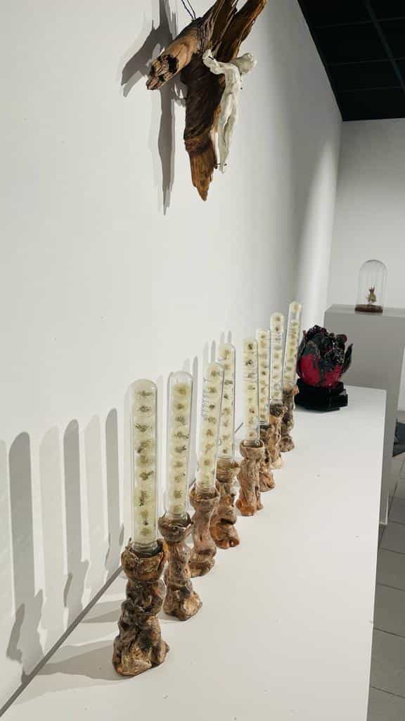 L'un des murs habillé des œuvres de Charlotte Herben