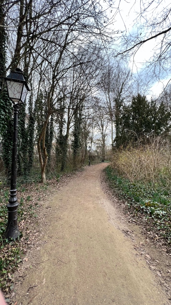 L'un des chemins du parc