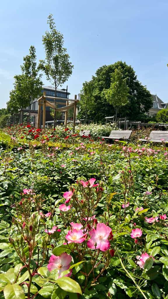 Vue depuis le chemin