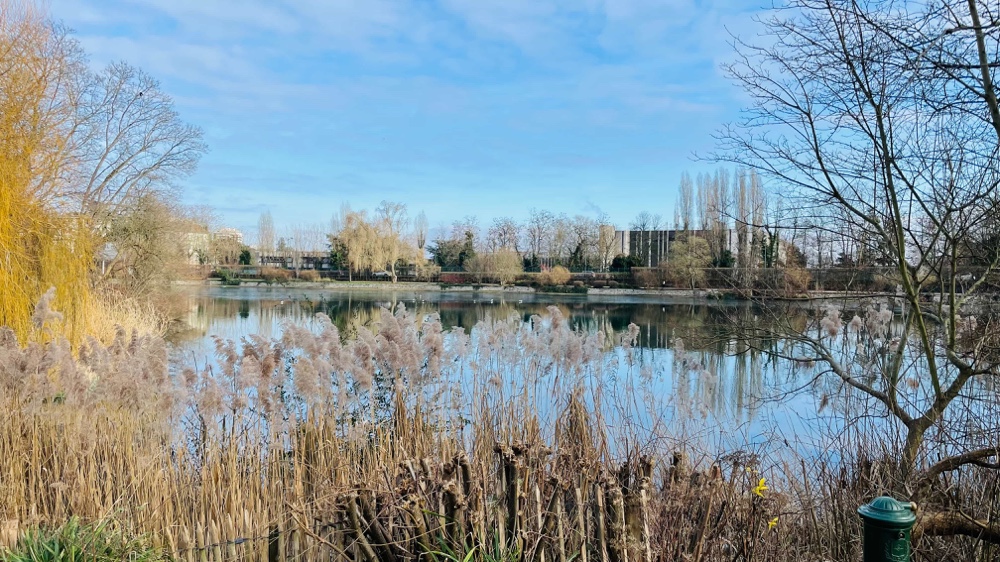 Point d'intérêt sur la berge de l'étang Colbert