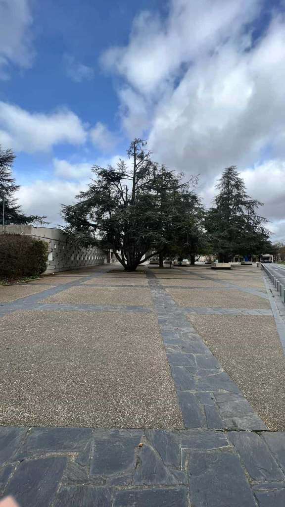 Vue depuis le parking