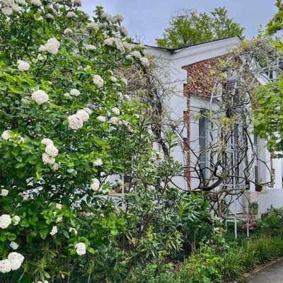 Les &lsquo;Thés Brillants&rsquo;: un salon de thé&nbsp;romantique