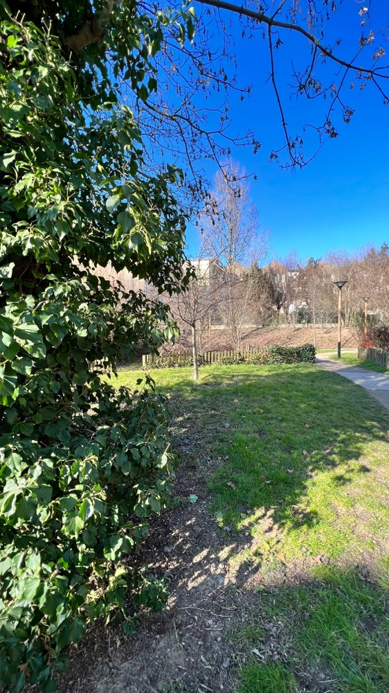 Vue du jardin de la Porte d'en Bas