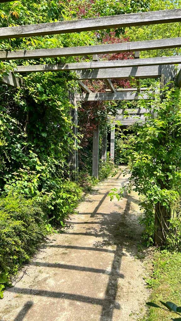 Accès traversant la mini-roseraie