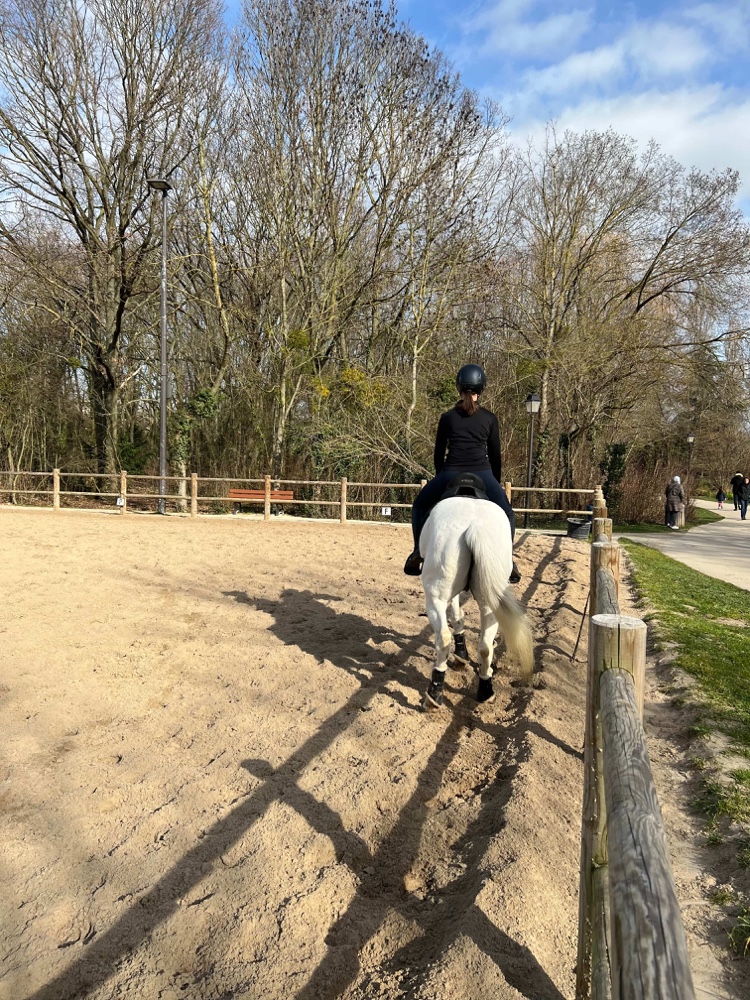 Cavalière sur sa monture