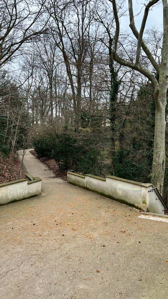 Chemin menant vers le château