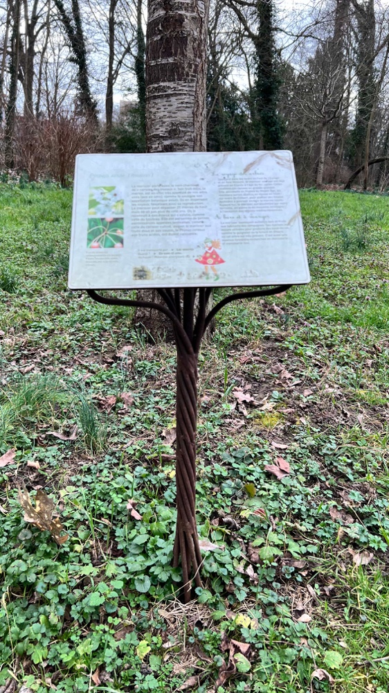 Affichette descriptive en forme de tronc d'arbre