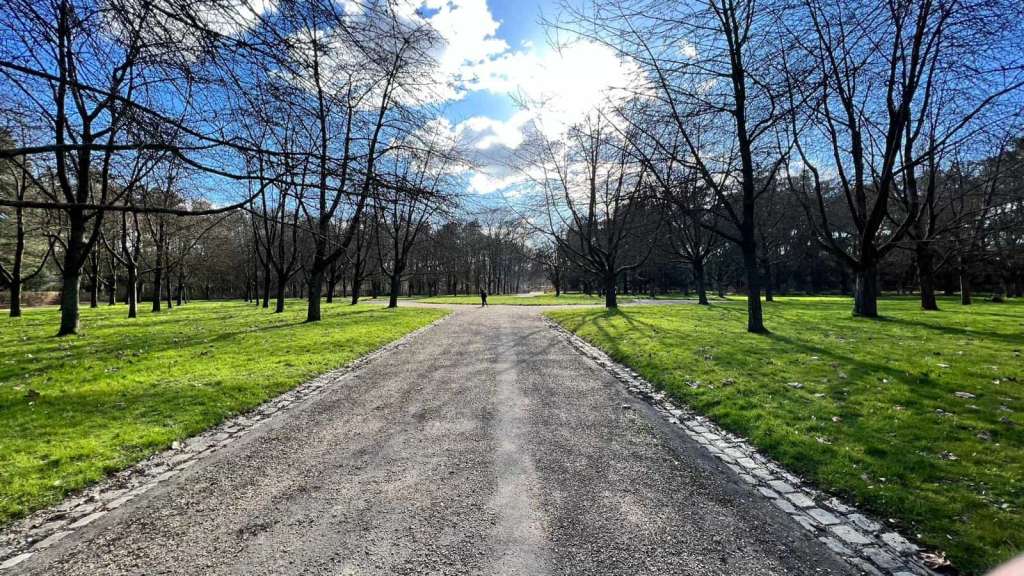 L'une des allées centrales