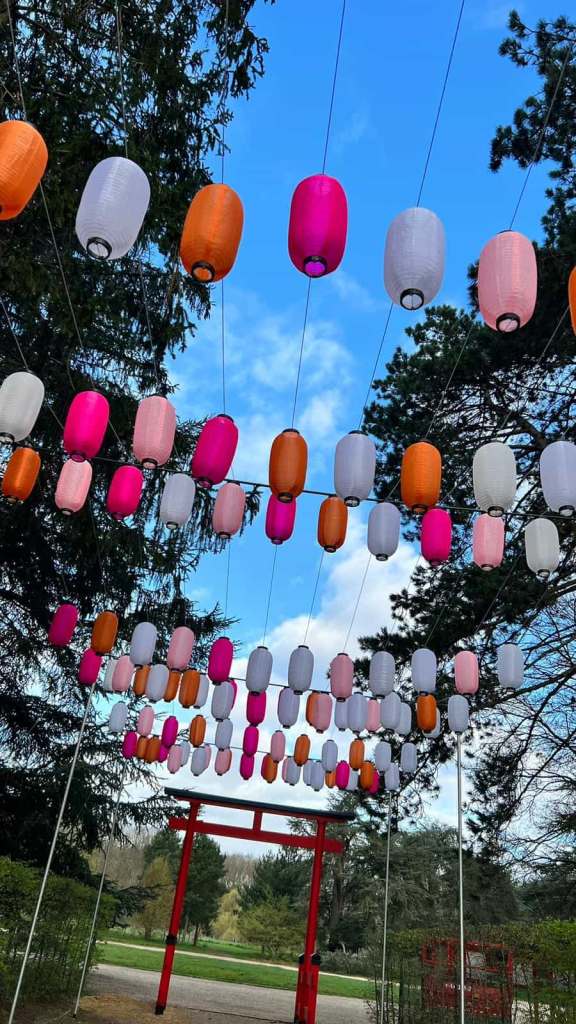 Festival annuel des cerisiers en fleurs