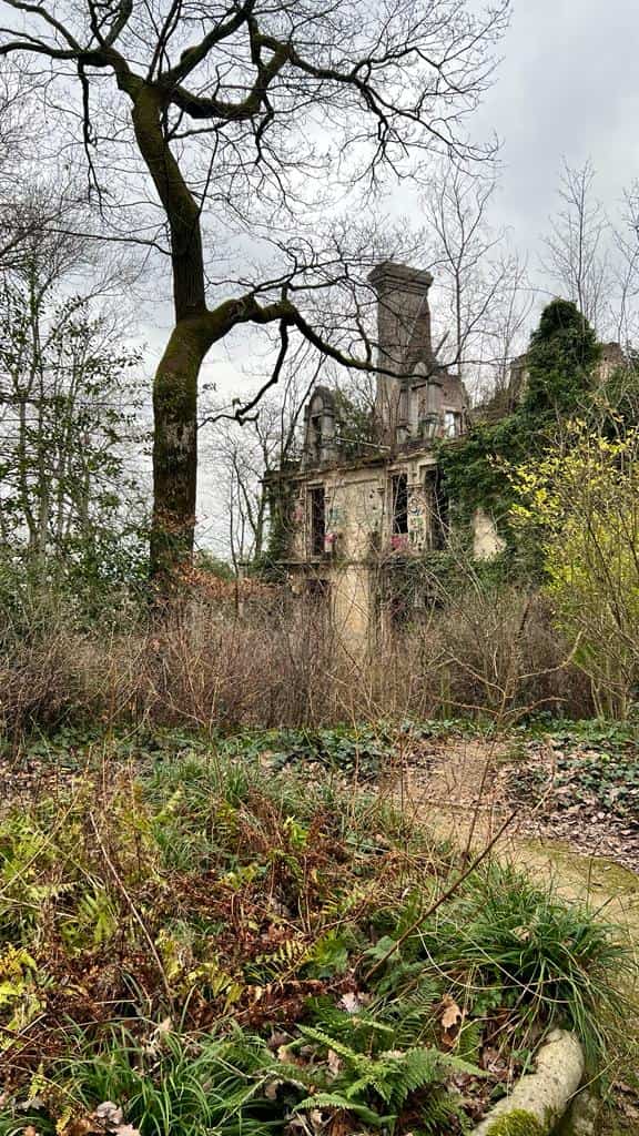 Le château de la solitude