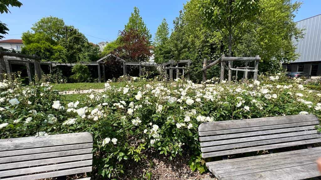 Vue de face de la roseraie