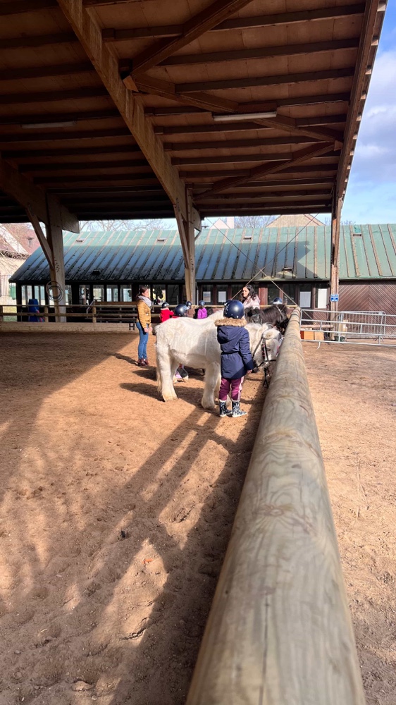 PoneyLand du parc Heller