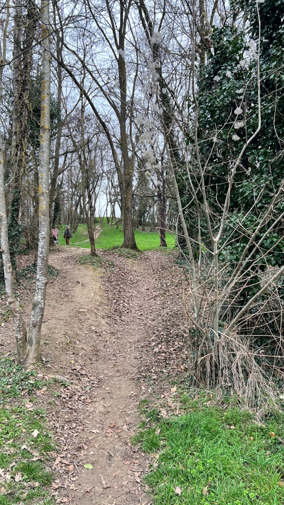 Sentier dans le parc