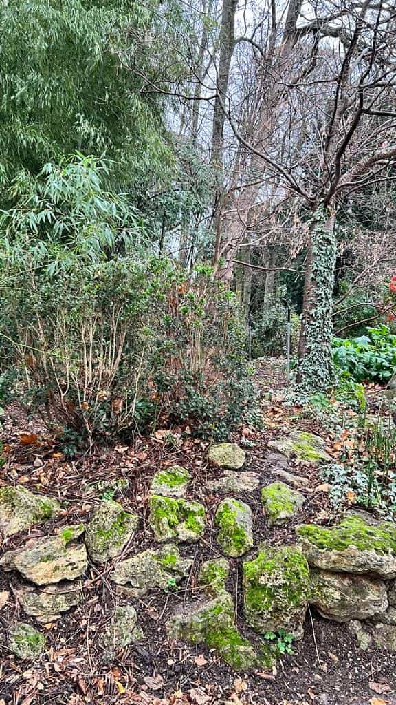 Quelques arbres du parc