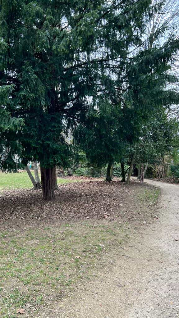 Chemin menant vers le parc Bourdeau