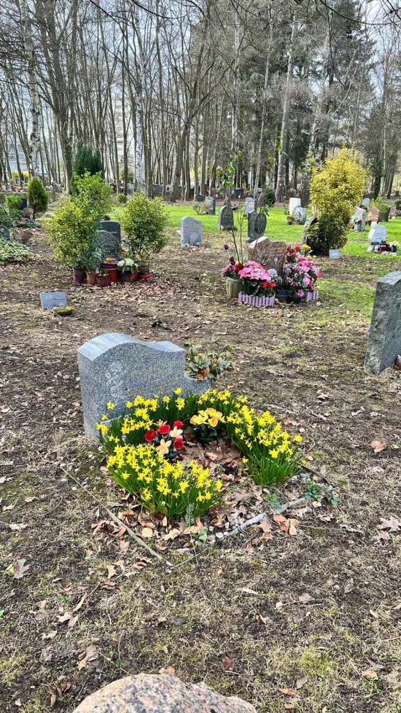 La tombe aux fleurs jaunes