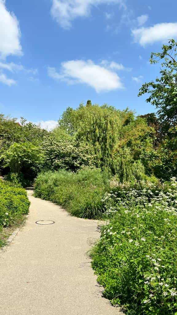 Chemin autour de l'étang