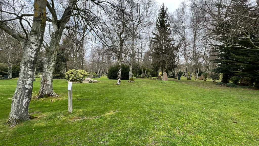 Espace végétalisé