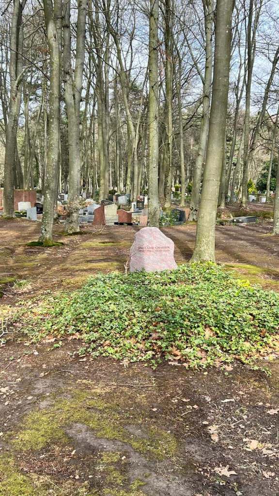 Tombe au pied des arbres