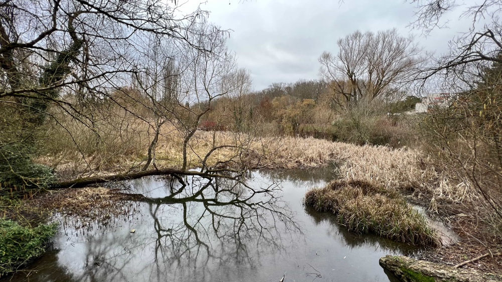 Le bassin du parc de la noisette