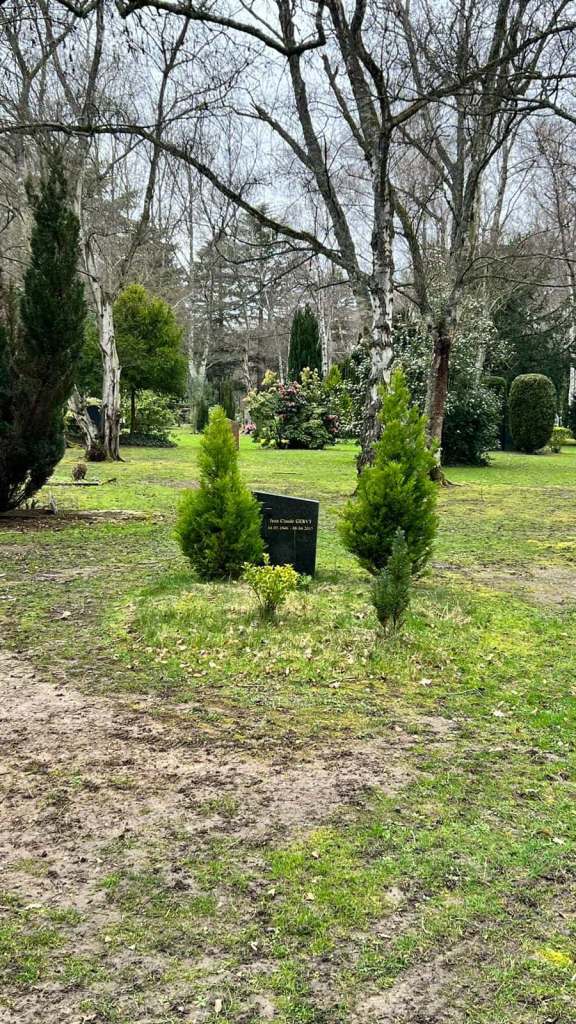 La petite tombe aux arbustes