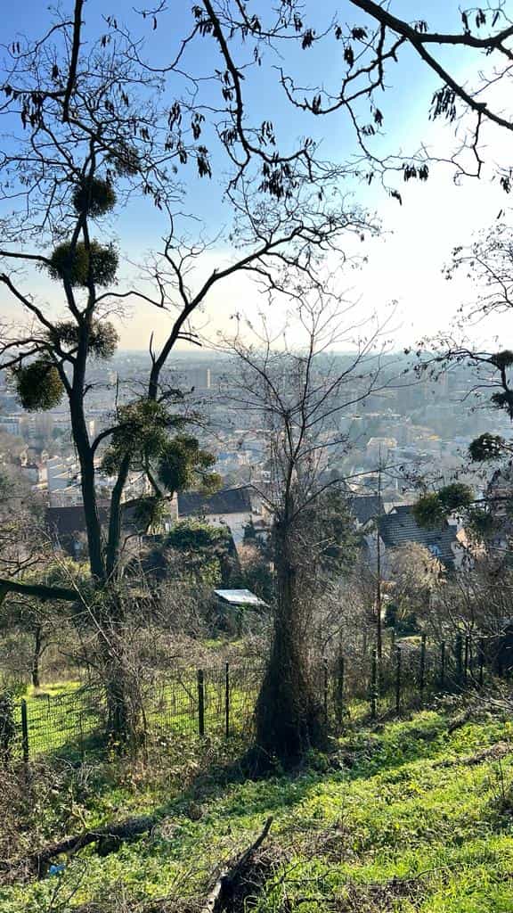 Autre vue depuis le site