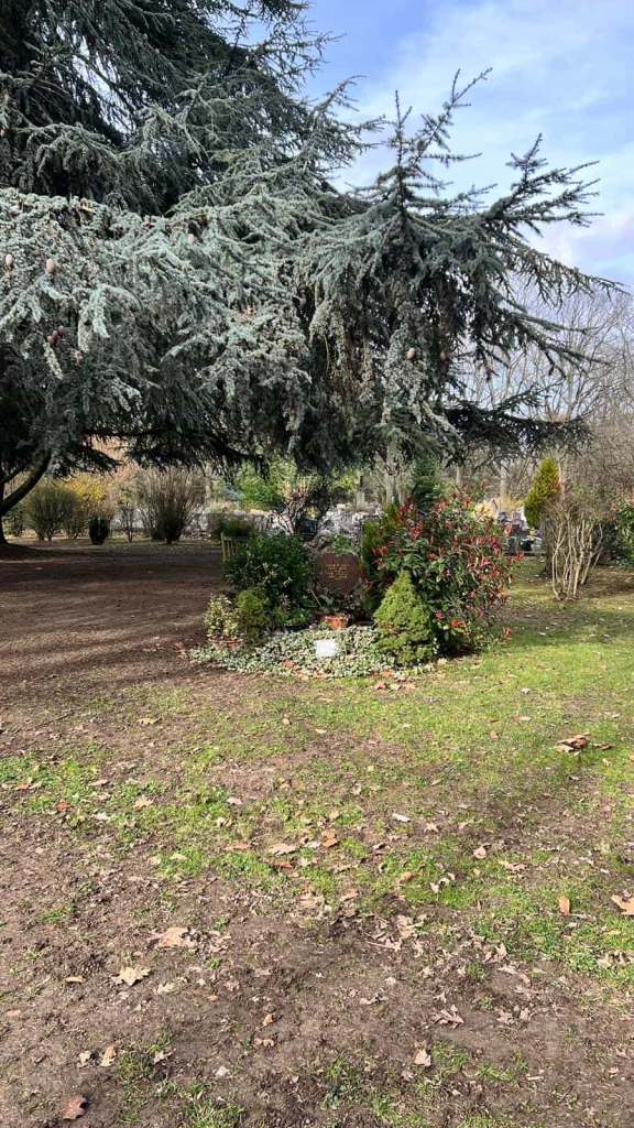 La tombe sous le sapin