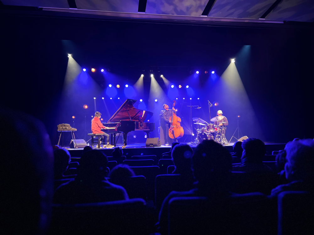 Concert de Joe Alexander