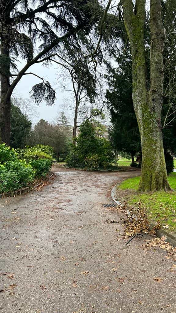 L'une des allées du parc