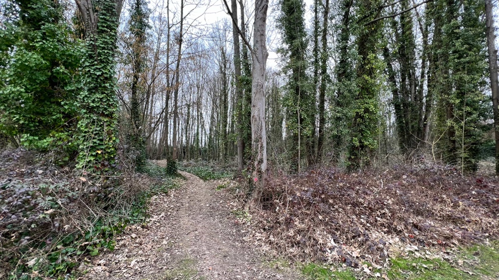 Cœur du parc de la noisette