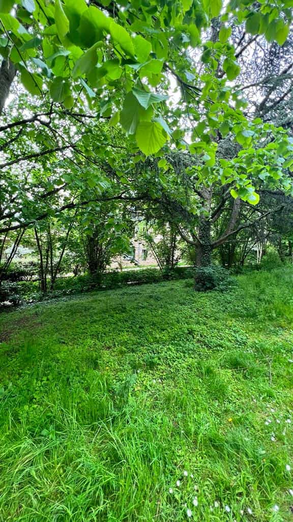 Chemin proche des habitations