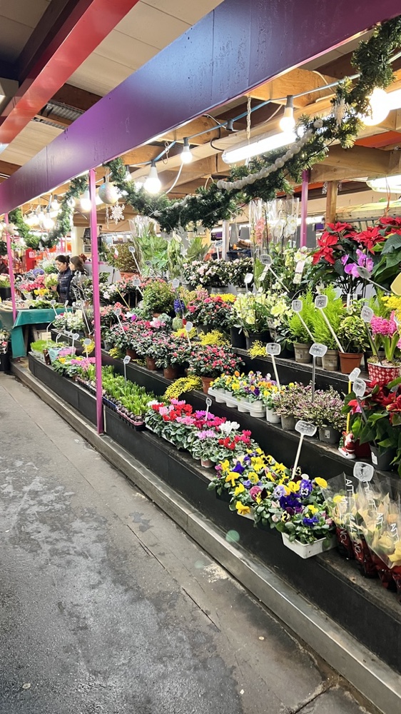Les fleurs du marché