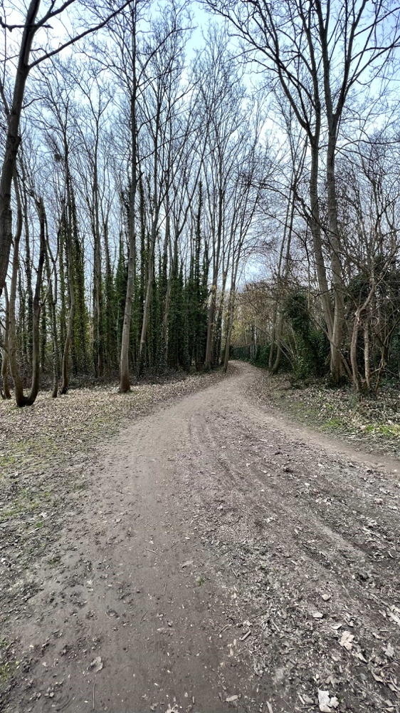 Sentier du parc