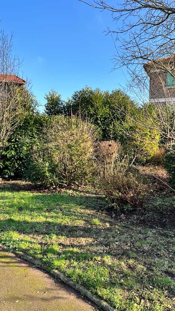 Espace vert du square