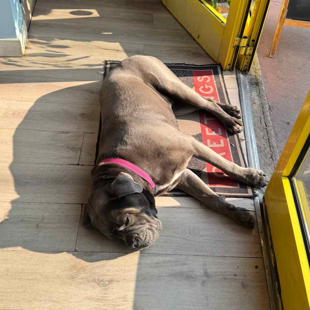 Gaia Coffee à Fontenay-aux-Roses : le salon de thé & co-working, à l&rsquo;accent&nbsp;british.